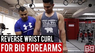 REVERSE WRIST CURLS for FOREAMRS Hindi  Punjabi [upl. by Adnuhs]