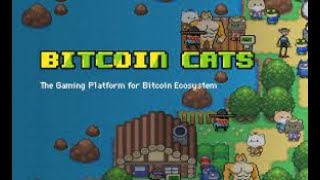 1CAT COIN TOKEN CRYPTO REVIW NEWS AND PRICE ANALYSTE DONT MISS X1000 CRYPTO BANTER STAKING FARMING [upl. by Chrystal229]