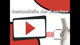 Bestandteile der Knochen clipdocsde [upl. by Litta]