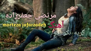 مرتضی جعفرزاده آهنگ برای عاشقان گریه نکو morteza Jafarzadeh persian song farsi best song love song [upl. by Noremak]