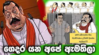 ඇපත් නැතුව ගෙදර යන අපේ ඇමතිලා 😜🤪 MrBaila parliament akd npp jvp baila [upl. by Evvie]