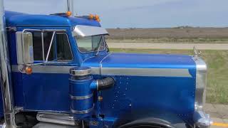 1969 359 Peterbilt [upl. by Oznarol]