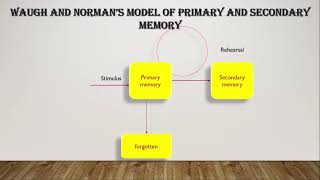 UNIT 4 MODELS OF INFORMATION PROCESSING PART 1 [upl. by Ferd]