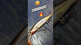 Catch MORE fish when you SUB fishing viralvideo viralshorts fishinglures [upl. by Yseult236]