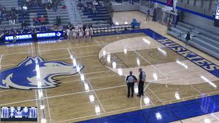 Owatonna High School vs Farmington JV Womens Varsity Basketball [upl. by Edlihtam]