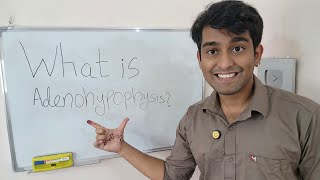 Learn What is Adenohypophysis   Adenohypophysis  The Hormone Factory of the brain in Biology [upl. by Sanyu514]