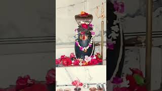 Deeneshwar Mahadev Dhaam pratah shringaar darshan 🙏🌺🙏deeneshwar hridaynath [upl. by Ardys]