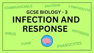 AQA GCSE Biology in 10 Minutes  Topic 3  Infection and Response [upl. by Oihsoy]