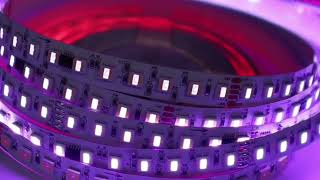 DMX SMD5050 RGBW LED Strip Light  96 LEDs per Meter [upl. by Yssirhc360]