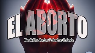 EL ABORTO  Roeh Javier Palacios Celorio [upl. by Nonnahsed298]