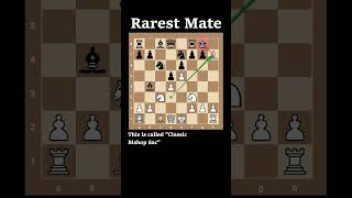 The Most Amazing Checkmate Youll Ever See [upl. by Bordiuk]