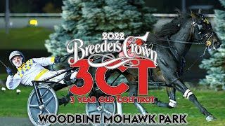 2022 Breeders Crown  King Of The North  3CT [upl. by Ayhtak769]