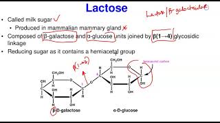 Disaccharides amp Polysaccharides Structure amp Functions [upl. by Moseley]