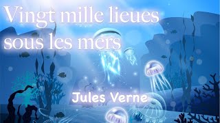 Vingt mille lieues sous les mers Partie 1 Chapitre 22 [upl. by Latsyrd]