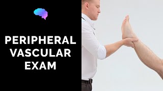 Peripheral Vascular Examination  OSCE Guide Latest  UKMLA  CPSA [upl. by Ahsitahs]