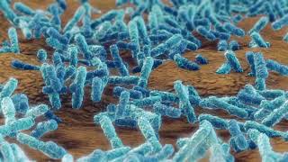 stock footage pseudomonas aeruginosa bacteria klebsiella medical concept [upl. by Eelarual]