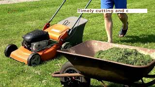 landcare of Landscaping Tips [upl. by Bradley]