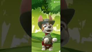 🐾PAW Patrol  Tracker Saves Mayor Humdinger  Coffin Dance Song coffindance short [upl. by Asilad703]