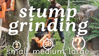 Stump Grinding  How Long Does it Take Using Our Power King Stump Grinder On Different Size Stumps [upl. by Tymes]