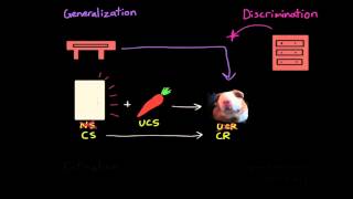 Lesson 07 Learning Classical amp Operant Conditioning [upl. by Nedac214]