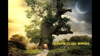 Virgo Septiembre 2018 Tirada del árbol [upl. by Thgiled]