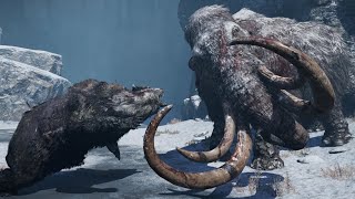 Hunt Legendary Bloodtusk Mammoth With All Beasts  Far Cry Primal 4K 60 FPS Max Settings [upl. by Otnicaj]