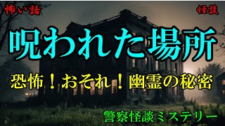 夜の巡回で遭遇した呪いの影…警察官が震えた出来事【警察怪談ミステリー】 [upl. by Sileray]