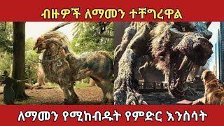 በርካቶችን አፍዘው ያስቀሩት የምድር ሚስጥራዊ እንስሳትamazing animals ethiopia አስገራሚ zena [upl. by Ajan]