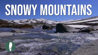 Snowy Mountains Australia in HD AWAKENING [upl. by Cesya]