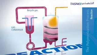 How Polymerization Works In A Gas Phase Reactor or how plastic is made [upl. by Dorcus]