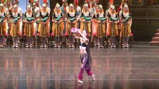 Sae Eun Park Nikiya VariationDance with Flower Basket Act 2 La Bayadere 박세은 발레리나 라 바야데르 [upl. by Hpsoj]