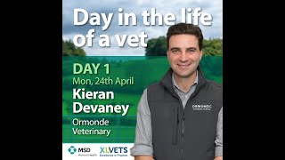 A Day in the Life of a Vet 2023 Day 1 with Ormonde Veterinary Hospital [upl. by Madox]