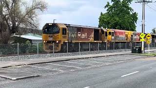 First dl north of Whangarei [upl. by Zoltai391]