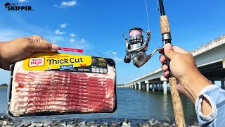 Fishing w Bacon to Catch Flounder Limit NO JOKE ACTUALLY USEFUL Catch and Cook [upl. by Rutledge]