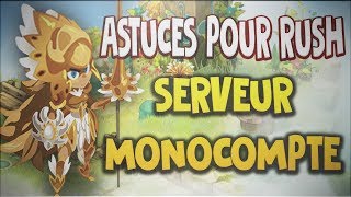 Dofus Serveur Monocompte • Conseils amp techniques pour bien réussir son rush [upl. by Anivlis827]