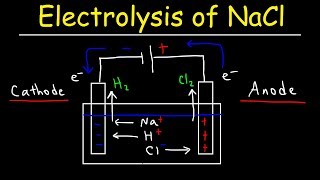 Electrolysis of Sodium Chloride  Electrochemistry [upl. by Ahsekad771]