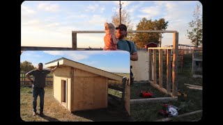 Building a Small Livestock Shelter 5x8  S1 Ep30 [upl. by Aimas]