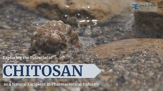 Chitosan as a Pharmaceutical Excipient [upl. by Millard]