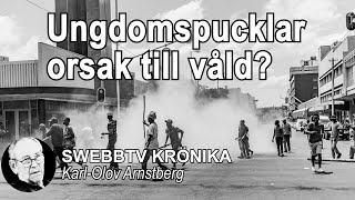 Krönika med KarlOlov Arnstberg  Ungdomspucklar och våld [upl. by Eninnaj]