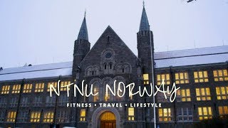 NTNU TRONDHEIM THE MOST BEAUTIFUL UNIVERSITY IN EUROPE [upl. by Nauqes100]