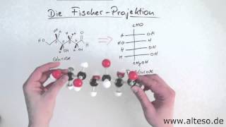 Die FischerProjektion [upl. by Alemat]