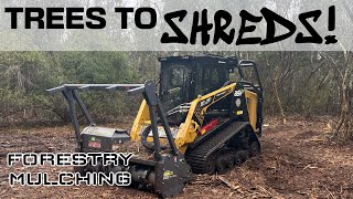 Skid Steer tearing trees to SHREDS Forestry Mulching Skid Steer [upl. by Hsina]