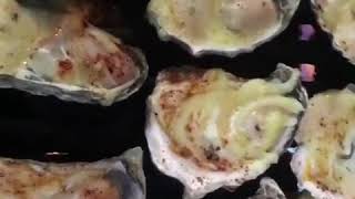 Oysters Mornay On BBQ Recipe Video [upl. by Rammaj624]