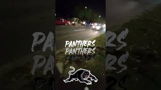 Penrith panthers after grand final win [upl. by Hallie]