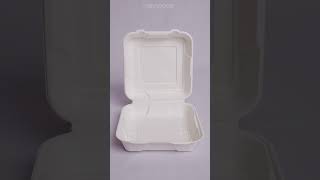 Disposable Compostable Sugarcane Bagasse Biodegradable Plate [upl. by Lolande]