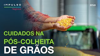 Armazenagem de Grãos Como Manter os Silos em Condições Ideais  Impulso Negócios EP 43 [upl. by Ahsinelg296]