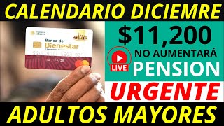 No aumentará la pensión 2025 Y calendario diciembre pago de 11 mil 200 💰✅ [upl. by Toby]