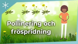 Pollinering och fröspridning [upl. by Auoz331]