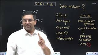 Link between Urea cycle and Pyrimidine NT synthesis  CPS 1 and 2 Orotic aciduria in Type 2 UCD [upl. by Sidwel]