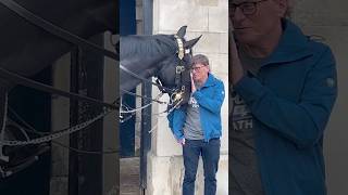 quotRoyal Horses Warning Playful Pranks Gone Too Far 🐴⚠️ ShortsVideo YoutubeShortsFeed [upl. by Watkin]